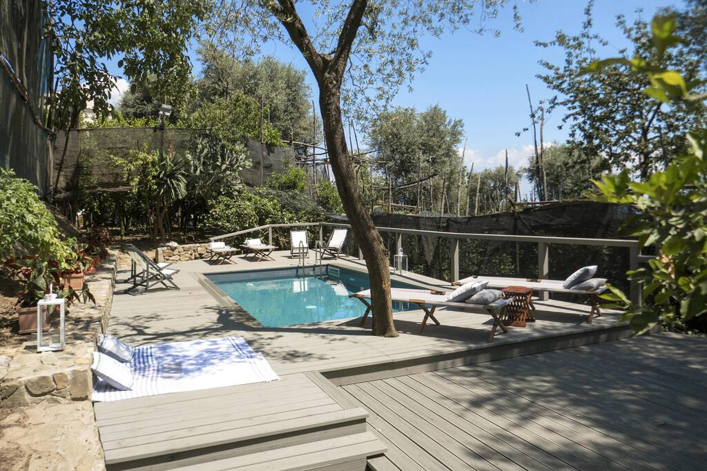 The Swimming pool from the opposite prospective