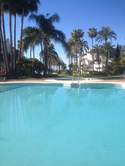 Pool in front of Appartment