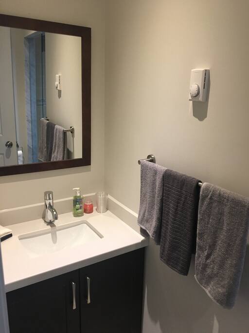 Queen bedroom washroom