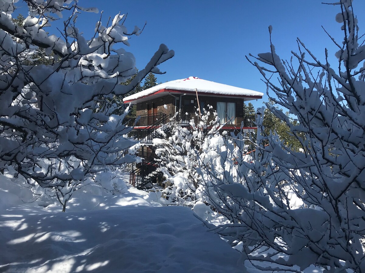 A modern two-story structure is partially visible through snow-covered branches, with a bright blue sky as the backdrop. Snow blankets the surrounding area, creating a serene winter landscape. The building features balconies and large windows, inviting natural light into the interior.