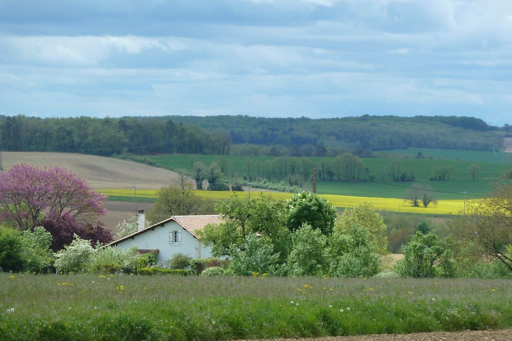 Beautiful open countryside location