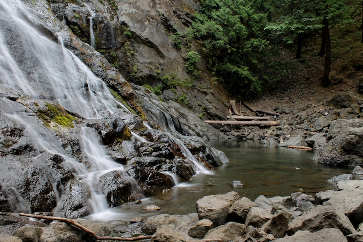 Показать полноэкранное фото от хозяина