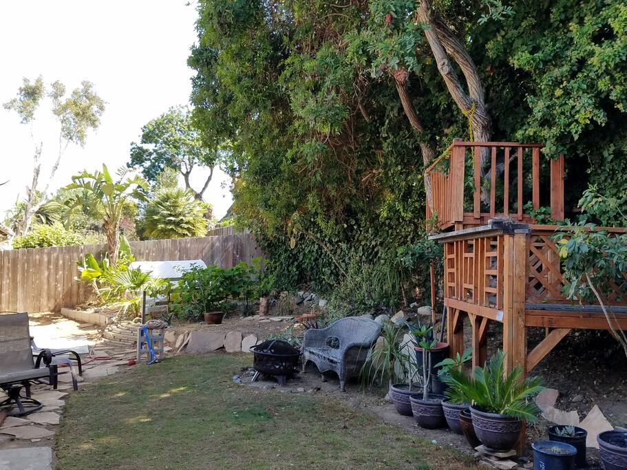 Backyard