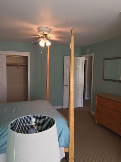 Large room, dresser and walk-in closet.