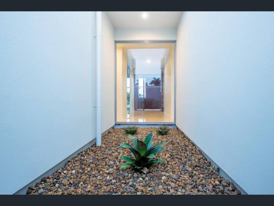 Plant view