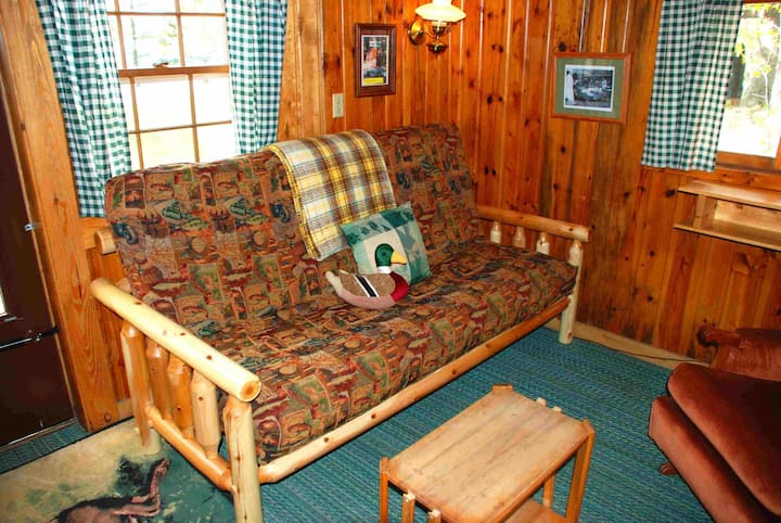 Lake Cabin! Beach, Eco-clean, Bike Trails, Resort - Walker, MN