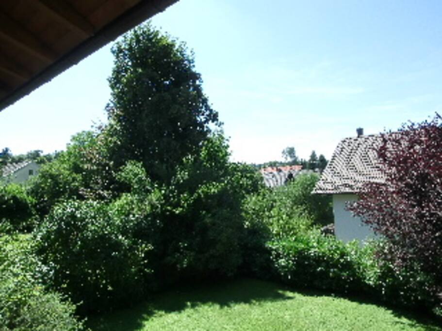 Ausblick vom Balkon