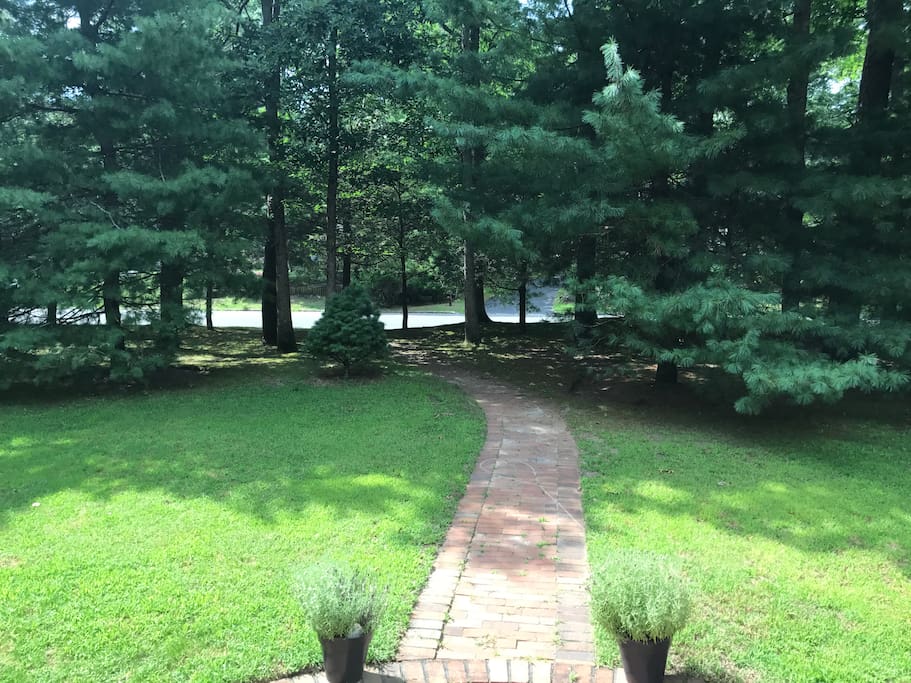 This is our front yard.