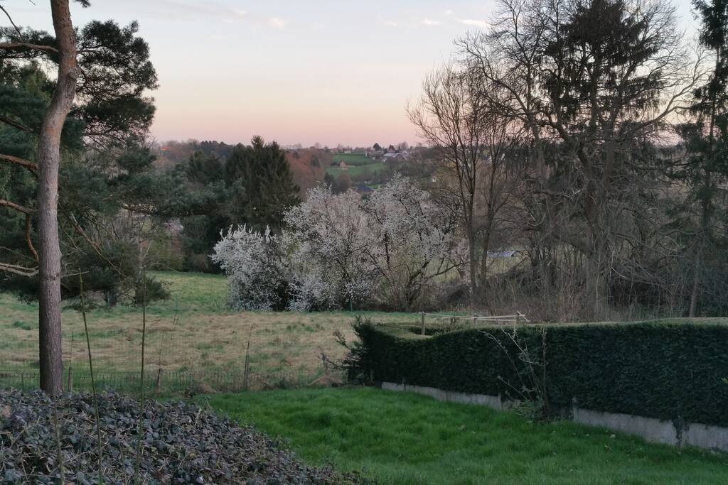 Spring view
