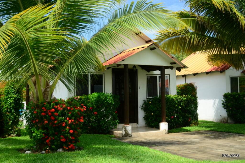 Palapa 7