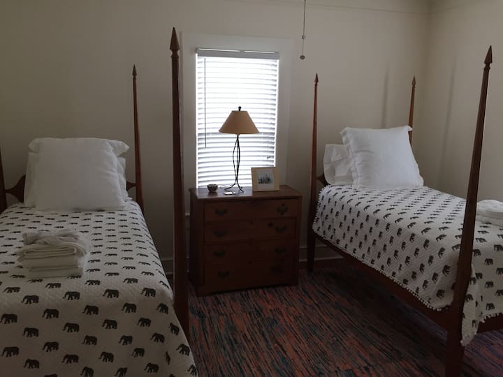 Chambre 2 lits jumeaux #1