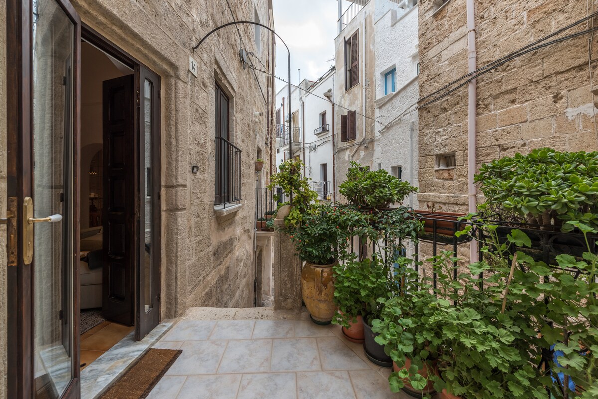 A welcoming balcony area is visible, featuring potted plants and a tiled floor. The entrance to the home shows wooden doors, while stone walls of adjacent buildings provide a rustic backdrop. Natural light brightens the space, hinting at the vibrant neighborhood.