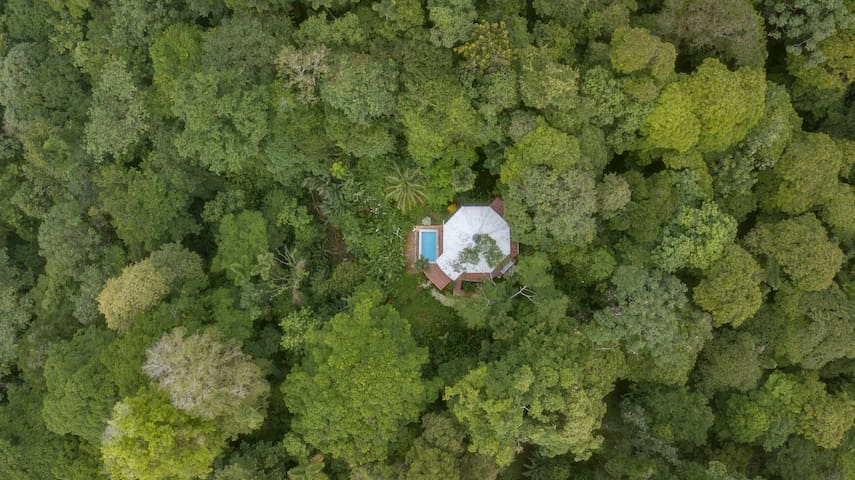 Entire home with 2 bedrooms in Southern Caribbean Coast - Majestical jungle house with Caribbean view