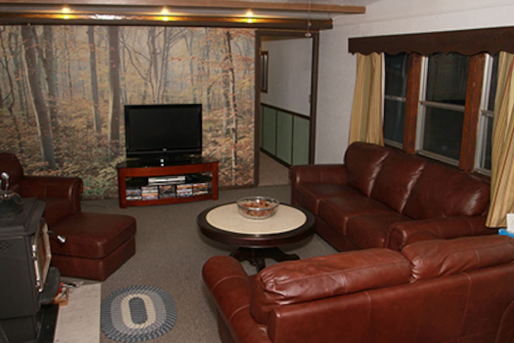 Living area with leather seating and television