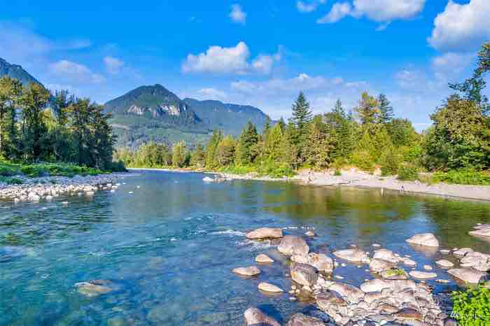 A serene river scene showcases smooth stones scattered along the water's edge. Lush greenery lines the banks, while mountains rise majestically in the background under a clear blue sky. The gentle flow of the river reflects the vibrant natural surroundings.
