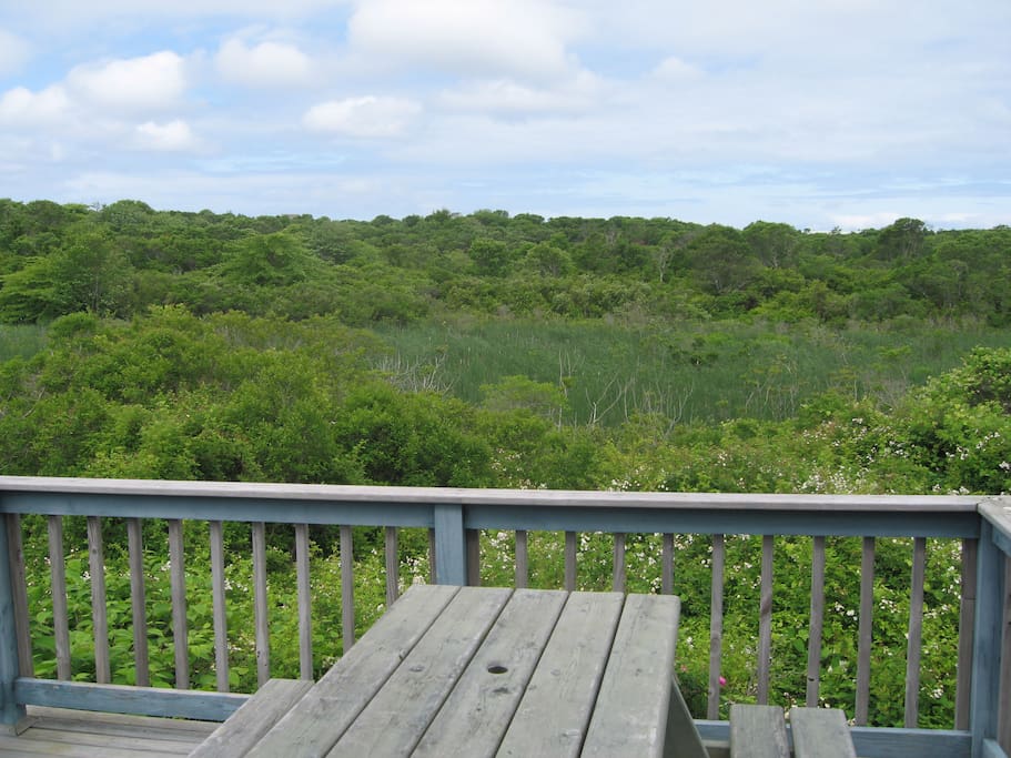 View From Cottage Deck