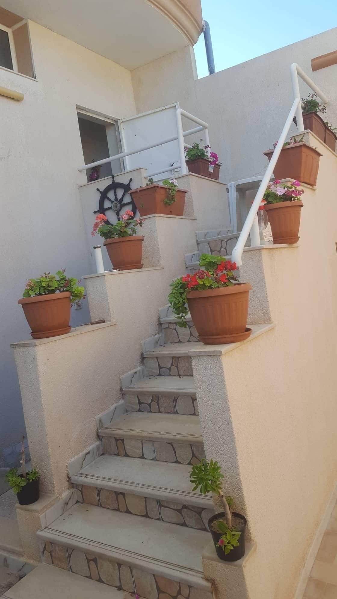 A series of stone steps leads upward, flanked by potted plants featuring colorful flowers. The railing is designed with a nautical wheel motif, enhancing the garden feel of the entrance. Sunlight brightens the space, creating a welcoming atmosphere.