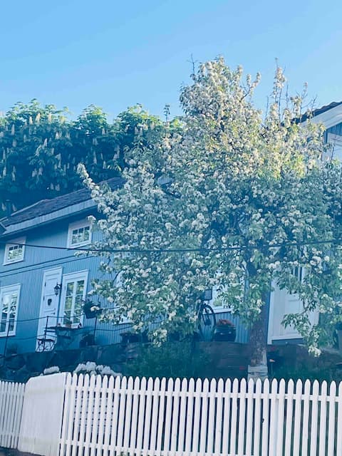 Top Airbnb: Room in annex in Frogn