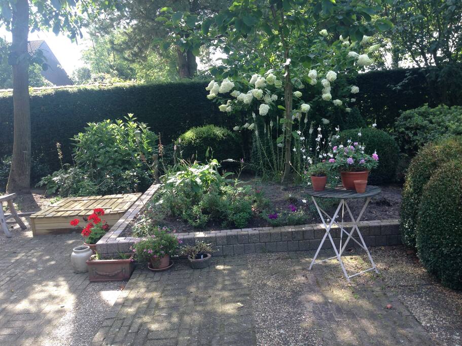 Achtertuin