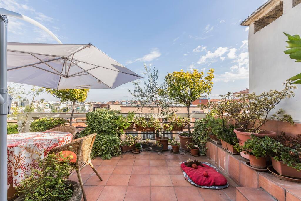 Terrazzo
Terrace