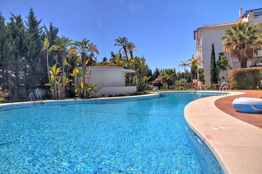 Beautiful large swimming pool with sun loungers set in tropical garden