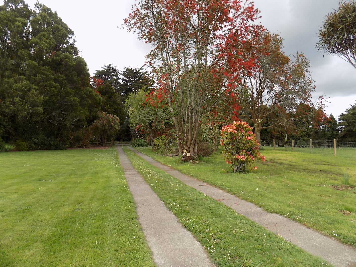 Ruapehu Grand View Accommodation & Farm Stay! 4