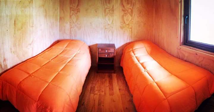 A cozy sleeping area is showcased with two spacious beds, each covered in bright orange bedding. A small wooden nightstand is positioned between the beds, accompanied by a window that allows natural light to enter the room.