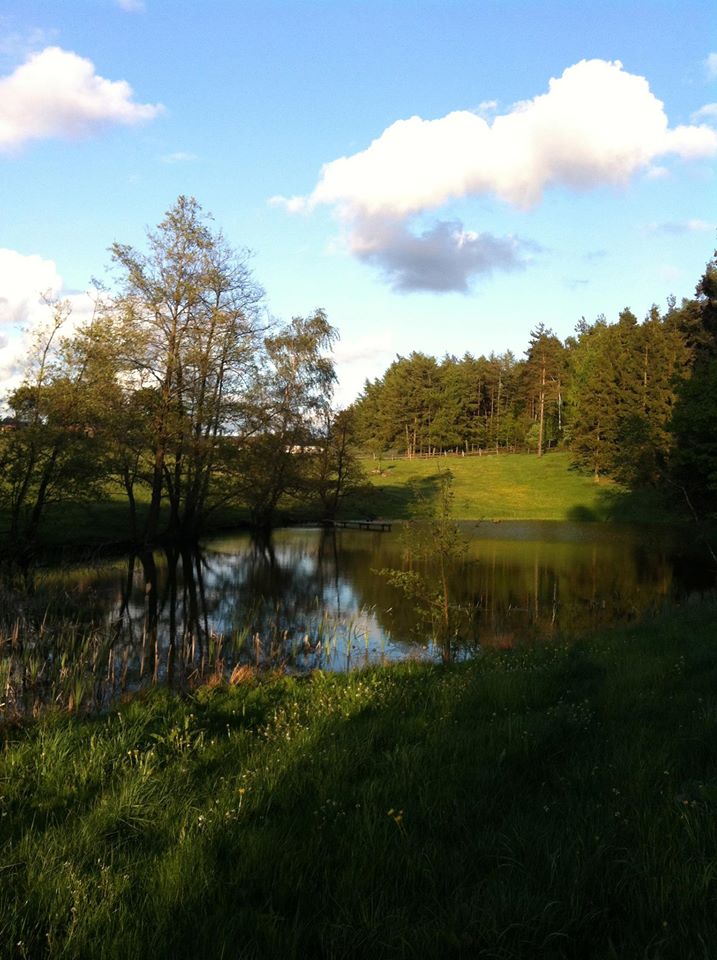 A serene lake is surrounded by lush greenery, reflecting the blue sky and white clouds above. Gentle hills rise in the background, dotted with trees that create a peaceful ambiance. A grassy area leads down to the water's edge, enhancing the idyllic natural setting.