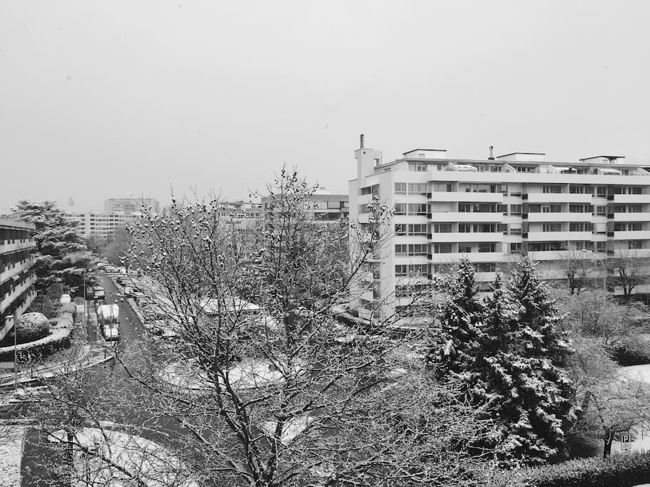 The view from the living room during winter time