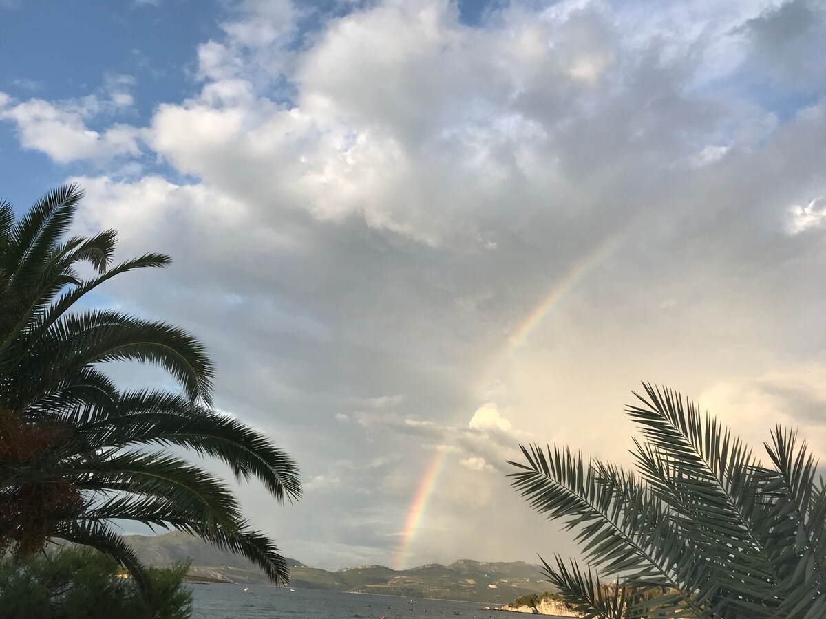 A view of the coastline is framed by lush palm trees, with a bright rainbow arching across the sky. The sea reflects the colors of the sky, and a distant landscape of hills is visible under a dramatic cloud cover.