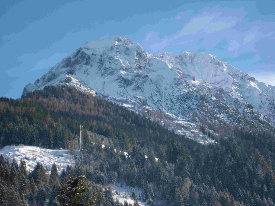 herrlicher Ausblick