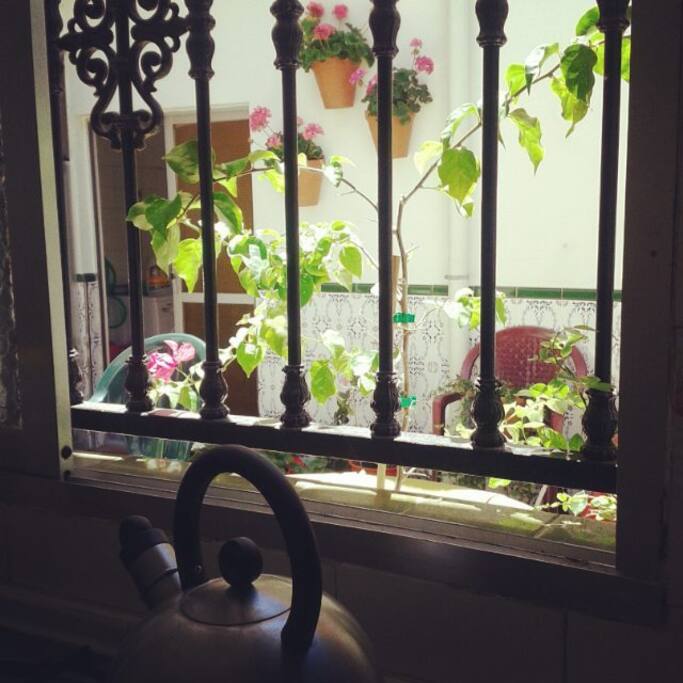 View from the kitchen