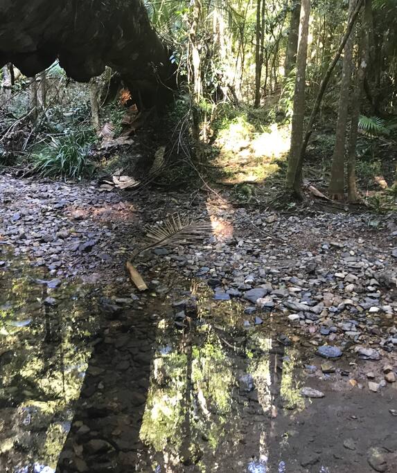 Wedding Bells Forest Woolgoolga