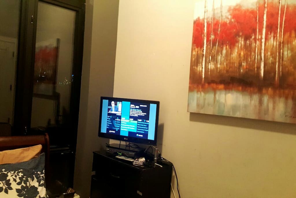 Lower Level Bedroom