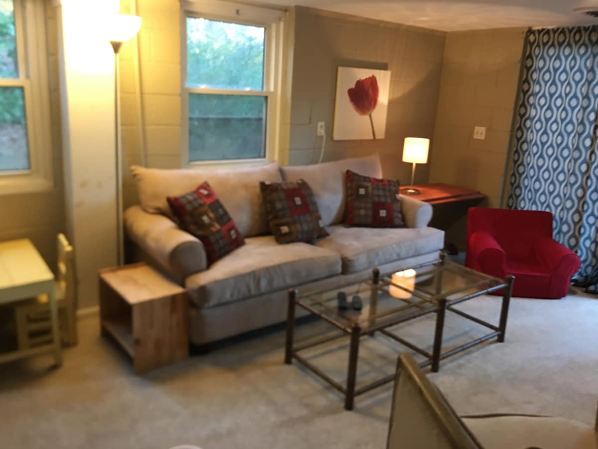 אזור טרקלין מרתף, ידידותי לילדים, פונה לטלוויזיה גדולה ומרכז בידור