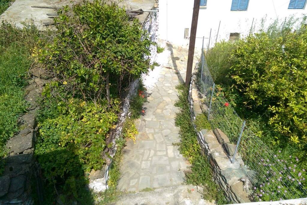 Front alley