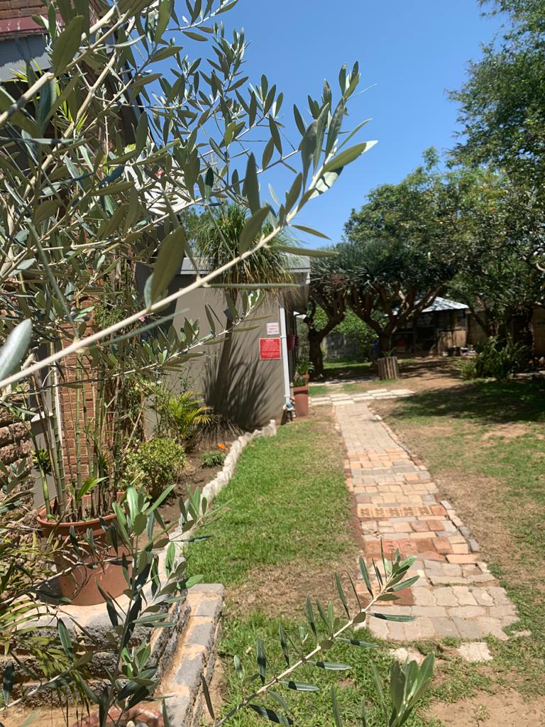 A well-maintained pathway made of brick leads through a verdant garden, bordered by shrubs and decorative plants. Trees provide shade along the route, which connects to the B&B structure, creating a pleasant outdoor space conducive to relaxation.