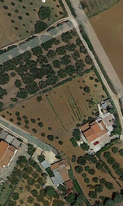 Vista satellite del terreno con frutta e verdura di stagione