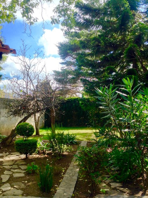 Shared Garden