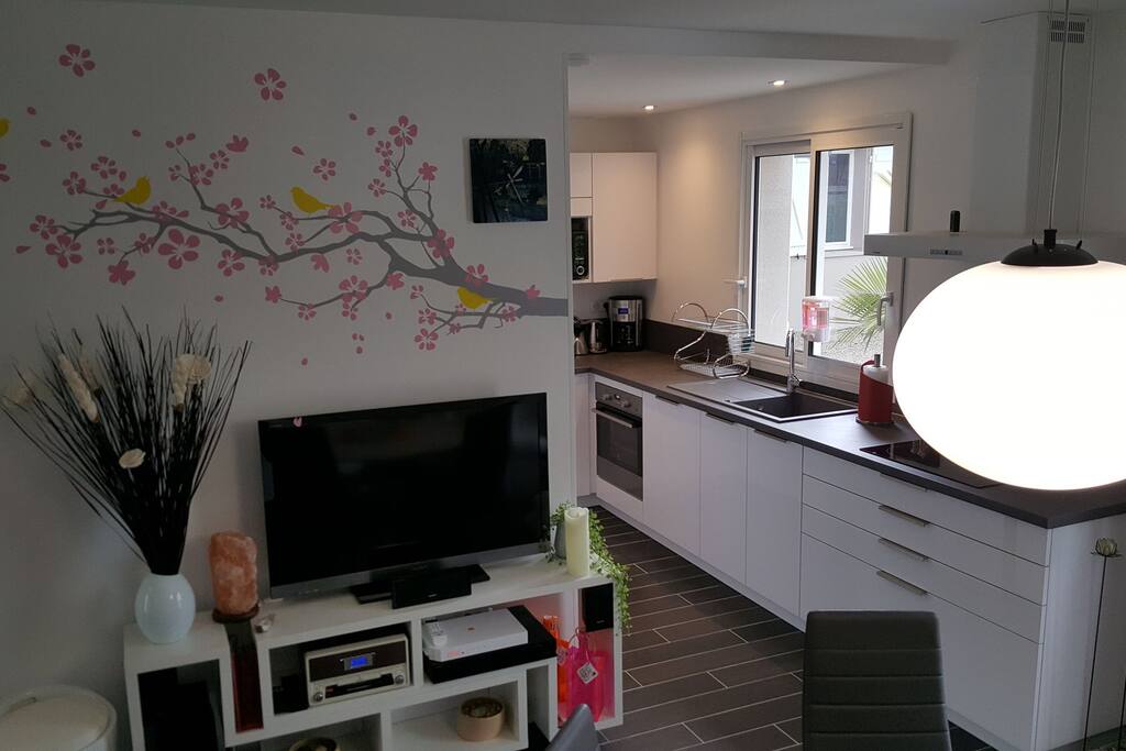 Accès Wifi, TV avec Home cinéma, lecteur DVD, radio