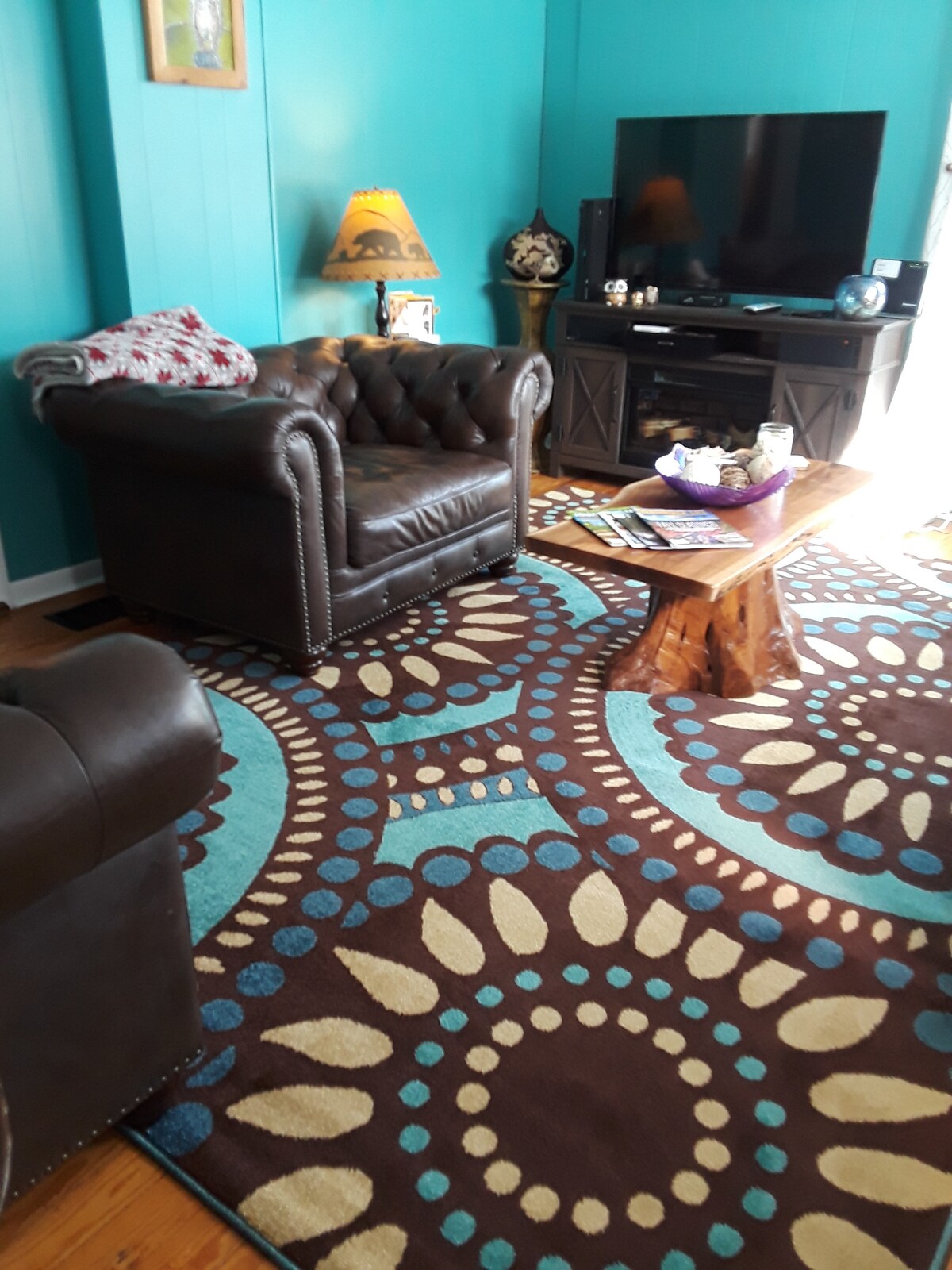 Living room with TV, electric fireplace and bluetooth