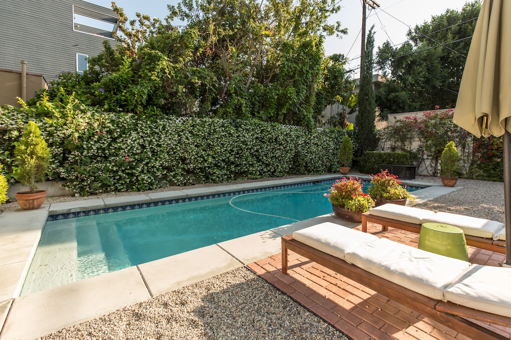 Pool - outdoor furniture not currently there.