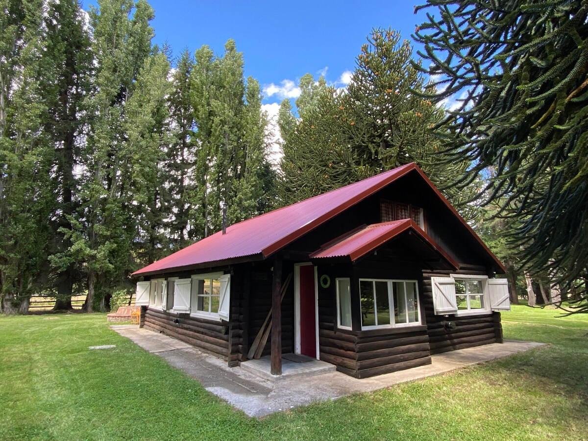 A charming wooden cabin is set amidst tall, lush trees. A red metal roof contrasts with the dark wood exterior. White-framed windows provide a welcoming appearance, while the surrounding green grass creates a serene environment. The pathway leading to the door is clear and accessible.