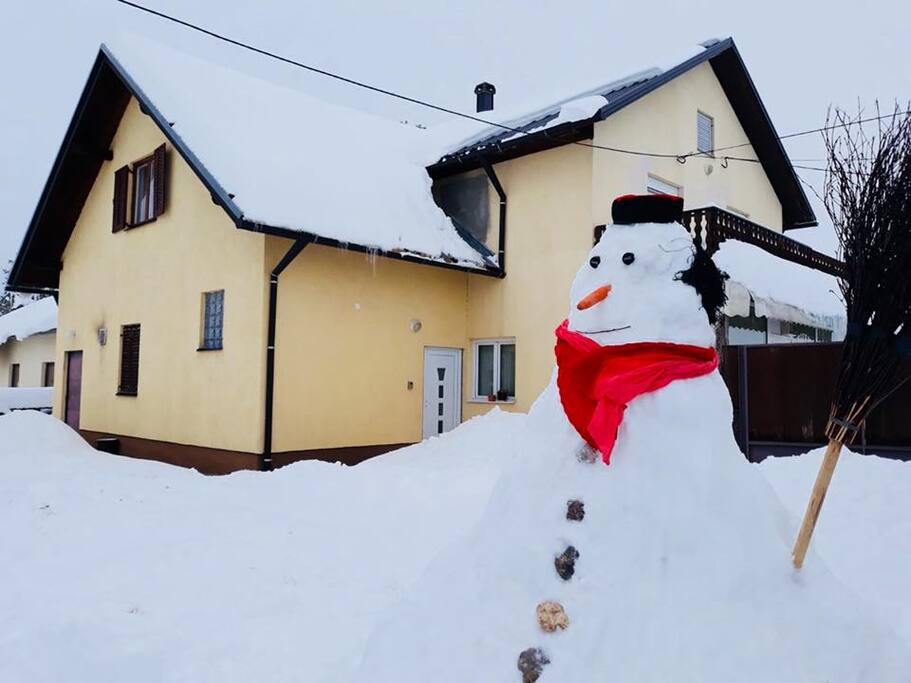 Apartman Juka -backyard