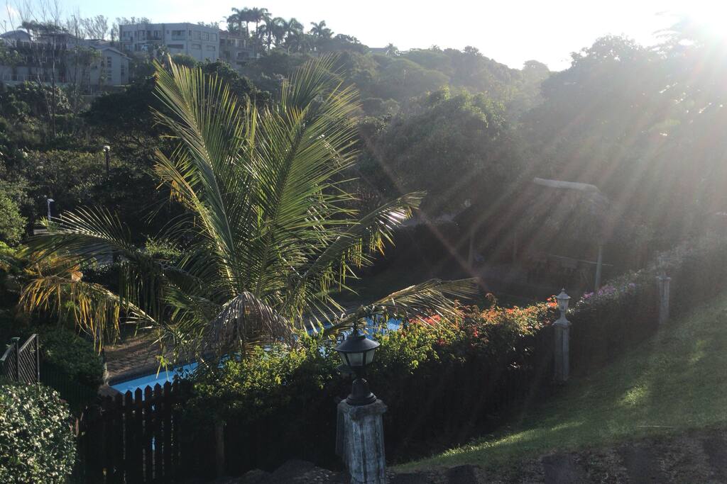 Pool / Gazebo / Braai area