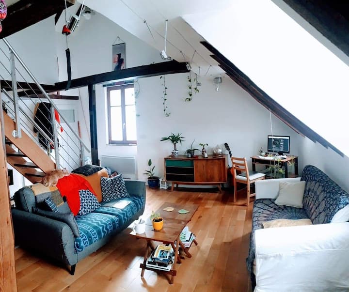 Strasbourg, F3, 80 M2, Grand Duplex Sous Les Toits - Strasbourg