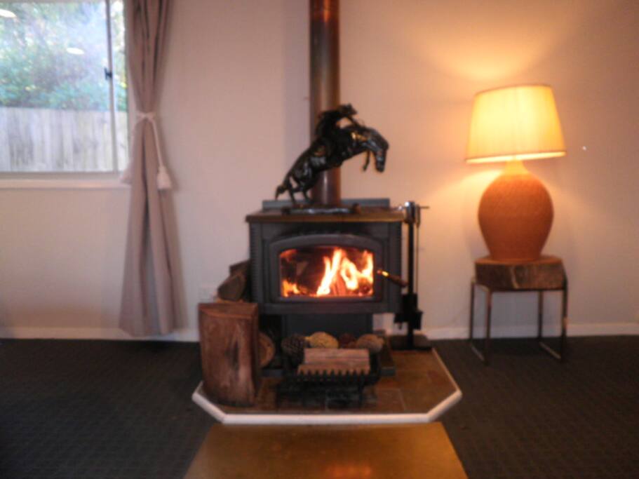 Cosy living area with fireplace