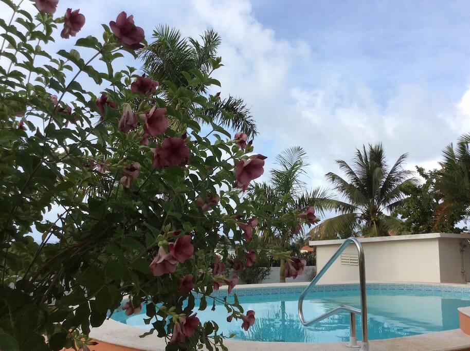 Geniesse die Ruhe am Pool