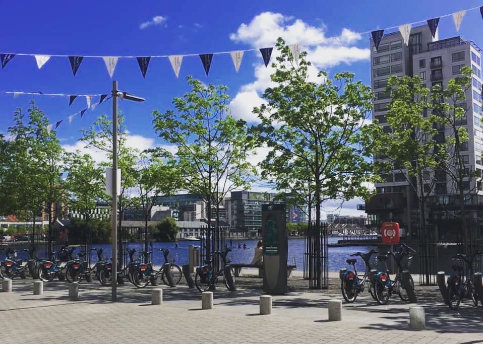Grand Canal Dock neighborhood