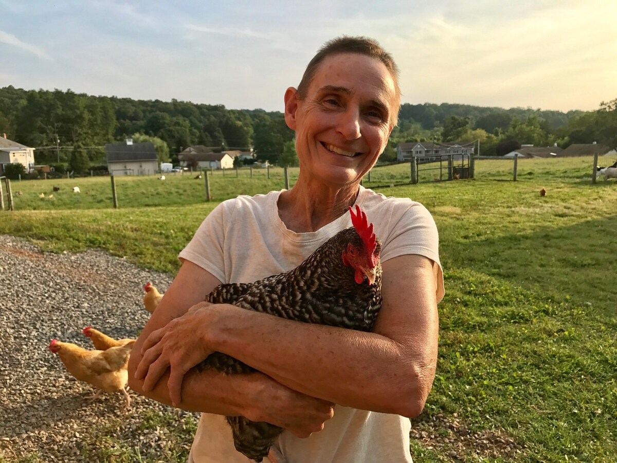 A person stands outdoors, holding a chicken closely, with a serene farm landscape in the background. Fields and farm animals can be seen beyond a wooden fence, showcasing a peaceful rural setting. The warm sunlight casts a gentle glow over the scene.